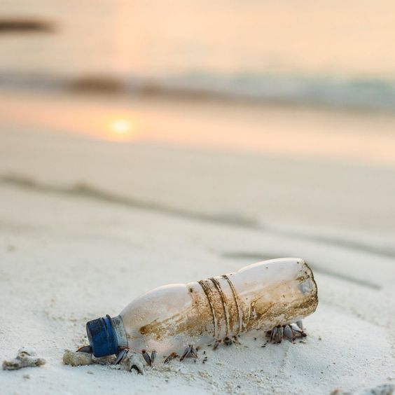 5 Helpful Habits To Reduce Plastic Consumption