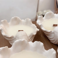 S11 X Cosiness23 Conch Candle