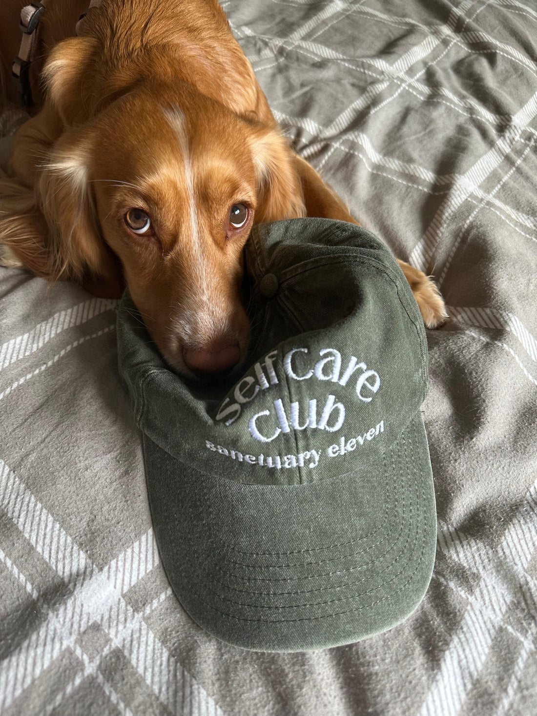 'Self Care Club' Olive Cap