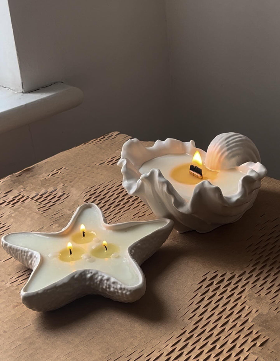 S11 X Cosiness23 Conch Candle