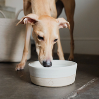 Handcrafted Ceramic Dog Bowl