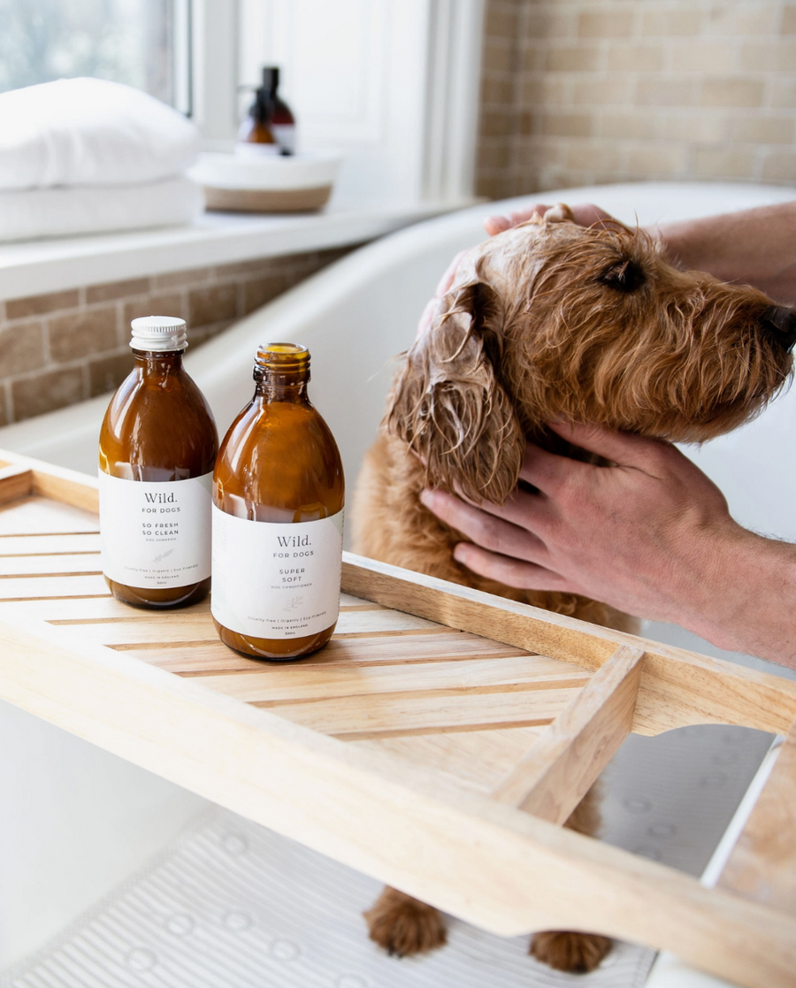 So Fresh So Clean - Organic Dog Shampoo