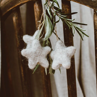 Stars of Wonder Hanging Decorations (Set of 6)