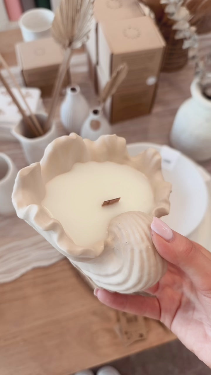 S11 X Cosiness23 Conch Candle